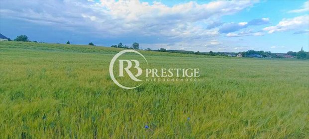 działka na sprzedaż 1106m2 działka Bielkowo
