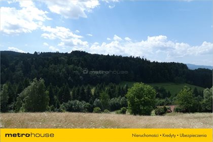 Działka budowlana na sprzedaż Żeleźnikowa Wielka, Nawojowa 25 600m2 Foto 7