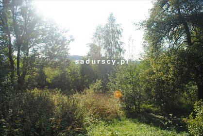Działka inna na sprzedaż Miękinia 3 991m2 Foto 1