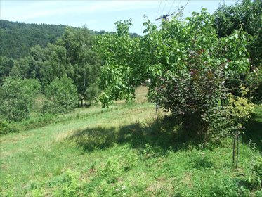 działka na sprzedaż 1770m2 działka Bielsko-Biała, Straconka, Lisia