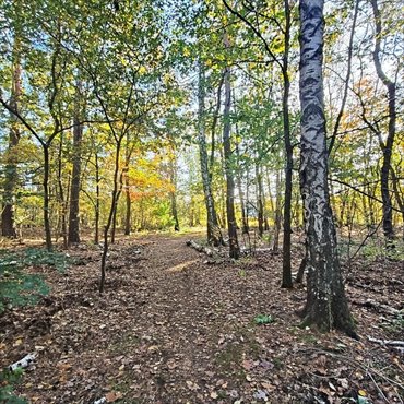Do sprzedania działka 1117 m² w Strzeniówce z dużym potencjałem działka Strzeniówka, Pruszkowska
