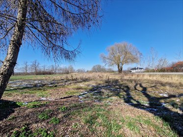 Działka budowlana na sprzedaż Mikołów, Paniowy, Mokierska 1 047m2 Foto 5