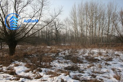 działka na sprzedaż 10626m2 działka Okrzeszyn