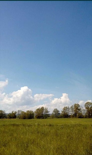 działka na sprzedaż 4800m2 działka Pieszyce, Piskorzów