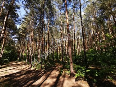 działka na sprzedaż 3000m2 działka Milanówek