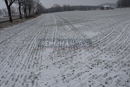 działka na sprzedaż 300m2 działka Myślinów