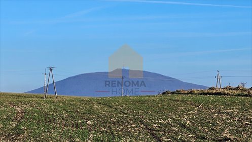 działka na sprzedaż 8400m2 działka Krzczonów