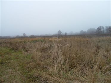 działka na sprzedaż 4000m2 działka Warszawa, Wilanów, Powsin, Rosochata