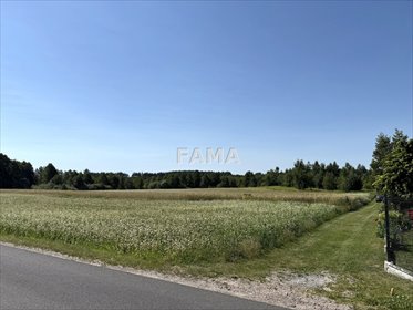 Działka 2900 m² z warunkami zabudowy i mediami działka Cyprianka