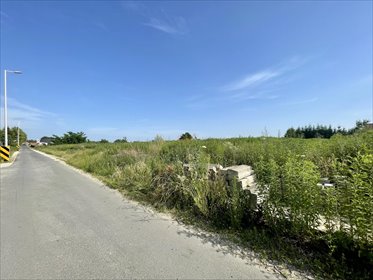 działka na sprzedaż 1250m2 działka Brzezina