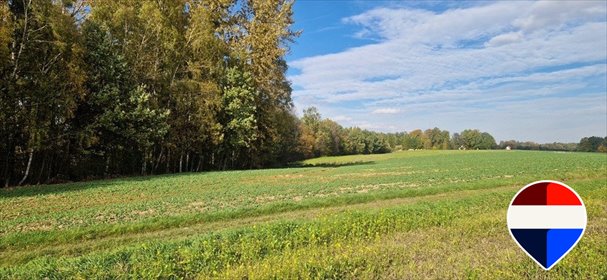 Działka rolna z udziałem w lesie – inwestycja i kontakt z naturą działka Kończyce Wielkie, Długa
