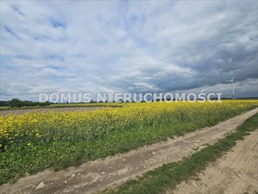 Działka rolna 67 765 m² z możliwością zabudowy w Stefanowie działka Stefanów
