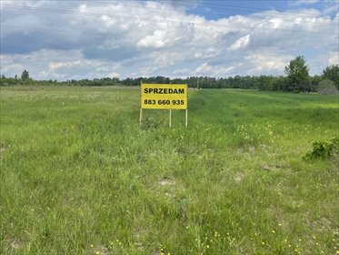 działka na sprzedaż 13200m2 działka Maciejowice