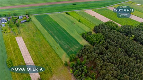 działka na sprzedaż 14500m2 działka Górki Grabińskie