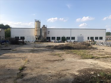 działka na wynajem 3300m2 działka Przytoczna, Główna / Rokitniańska