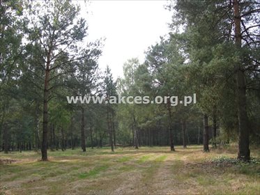 działka na sprzedaż 9554m2 działka Budy-Grzybek