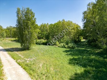 Przestronna działka 6000 m² pod lasem z mediami, Radonie działka Radonie