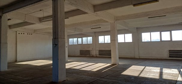 Zapraszam do wynajmu magazynu 826 m² z biurem i rampą magazyn Sosnowiec, Pogoń, Ptasia
