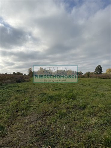 Działka 2000 m² w Nowych Faszczycach - polecam działka Nowe Faszczyce