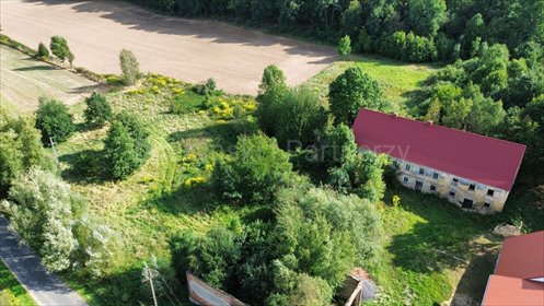 Sprzedam dom z dużą działką 1 ha w Górczycy dom Górczyca