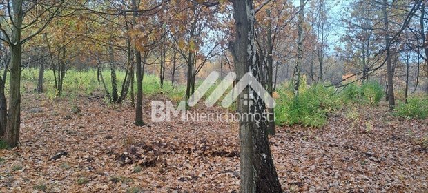 działka na sprzedaż 1768m2 działka Kałęczyn