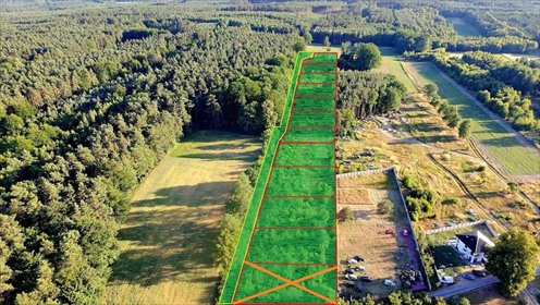 Działki w Olbrachtowie z lasem, od 966 m², promocyjna cena działka Olbrachtów