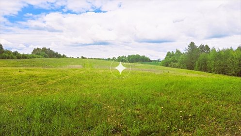 działka na sprzedaż 3031m2 działka Dąbrówka Wielka