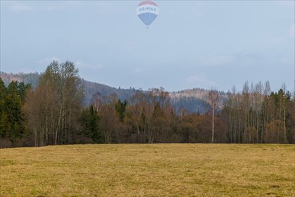 Działka rolna na sprzedaż Sopotnia Wielka 3 098m2 Foto 4