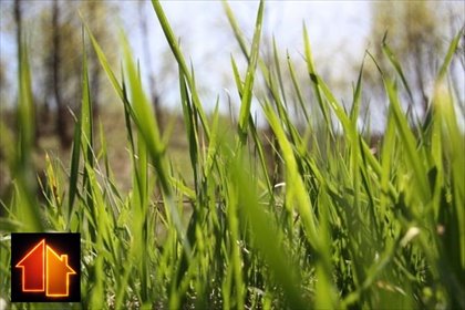 działka na sprzedaż 3275m2 działka Lyski, Wyzwolenia