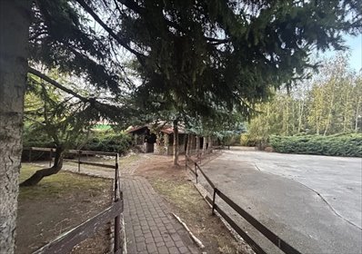 lokal użytkowy na sprzedaż 1000m2 lokal użytkowy grodziski