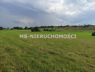 działka na sprzedaż 24500m2 działka Różnowo