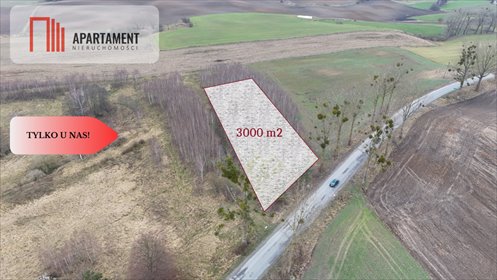 działka na sprzedaż 3000m2 działka Łąsko Małe