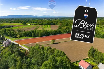 działka na sprzedaż 11778m2 działka Grojec