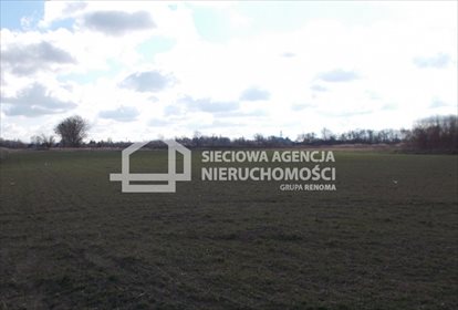 Polecam działkę 12 000 m² pod zabudowę w Grabnie działka Grabno