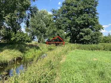 Do sprzedania działka 11 150 m² z warunkami zabudowy i stawem działka Czersk
