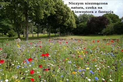 działka na sprzedaż 254000m2 działka Sarbsk, Wicko