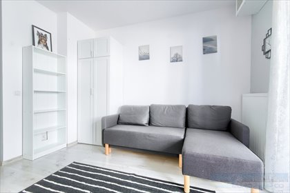 mieszkanie na wynajem 22m2 mieszkanie Czapury, Starołęka, Wiewiórcza