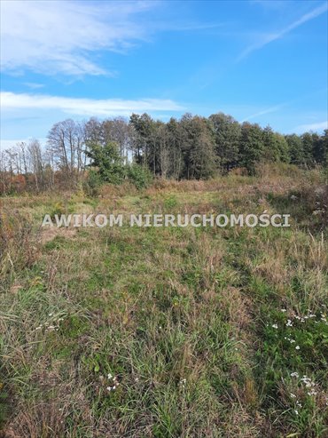 Polecam działkę 7997 m² z stawem w Grodzisku Mazowieckim działka Grodzisk Mazowiecki, Szczęsne