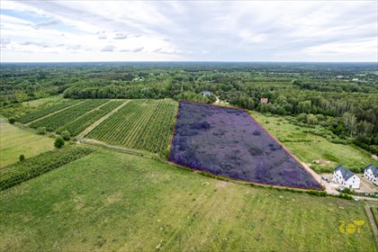 Kompleks działek pod zabudowę i inwestycję 34 000 m² działka Marylka