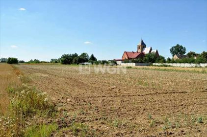 Działka rolna na sprzedaż Piersna, Piersna 4 400m2 Foto 5