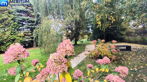 Przestronny dom z potencjałem na działalność i rodzinę dom Grodzisk Mazowiecki