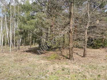 działka na sprzedaż 1660m2 działka Książenice