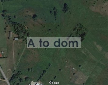 Zapraszam do zakupu działki rolnej 32 300 m² z mediami i dojazdem asfaltowym działka Ruda