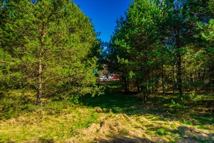 działka na sprzedaż 1369m2 działka Witkowo