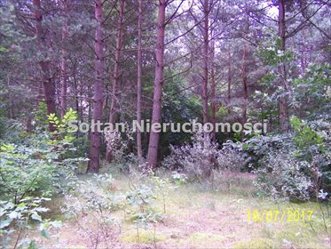 Działka rekreacyjna na sprzedaż Dzbądzek 800m2 Foto 1