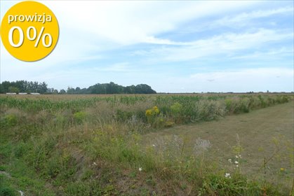 działka na sprzedaż 1500m2 działka Chlebnia