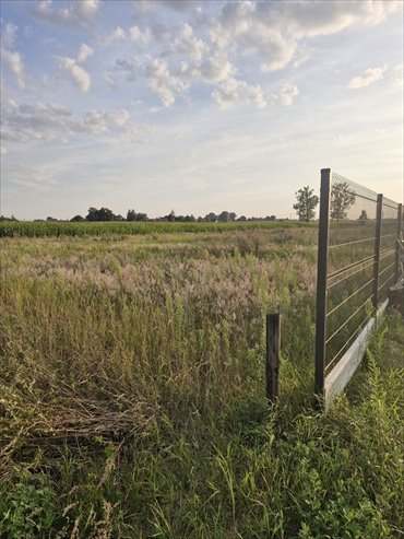 Działka na sprzedaż 1500m2 działka Laskowice Pomorskie, Polna