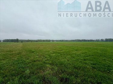 Działka rolna 6,2 ha z potencjałem inwestycyjnym polecam działka Młyny Piekarskie