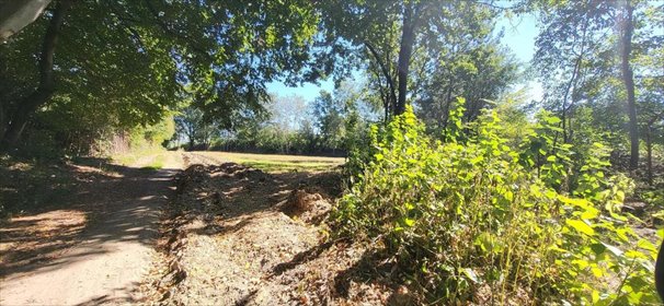 działka na sprzedaż 1800m2 działka Konopnica