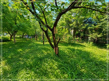 Do sprzedania działka ROD 282 m² w Grodzisku Mazowieckim działka Grodzisk Mazowiecki, bł. kard. S.Wyszyńskiego